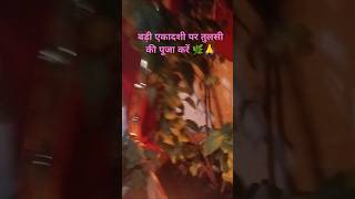 एकादशी पर तुलसी की पूजा कैसे करनी चाहिएshortsviralyoutubetulsi poudhapuja ekadashi [upl. by Haff990]