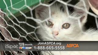 aspca commercial 2017 [upl. by Aihtenyc]