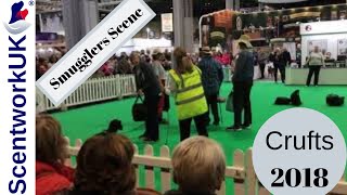 Scentwork UK display at Crufts 2018 [upl. by Adaline]