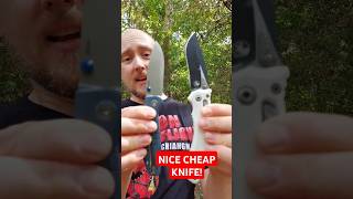 Great cheap knife New Bestechman Goodboy edc inexpensive [upl. by Aicineohp734]