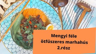 Mengyi féle ötfűszeres marhahús ramen 2 Rész [upl. by Mount710]