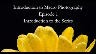 Macro Photography  Episode 1 Introduction [upl. by Heer45]