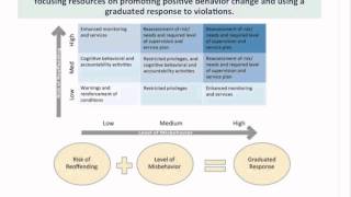 Core Principles for Reducing Recidivism for Youth in the Juvenile Justice System [upl. by Ainel342]