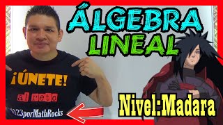 ÁLGEBRA LINEAL el MADARA UCHIHA de las MATEMÁTICAS 💥 CURSO COMPLETO y desde CERO [upl. by Schick601]