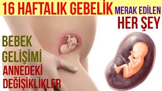 16 Haftalık Gebelik 2023 [upl. by Ardnwahs]