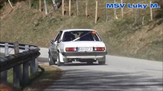 Lavanttal Rallye 2017 Gert Göberndorfer Monika Grabner [upl. by Berardo]