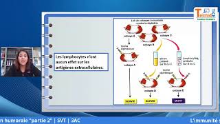 L’immunité spécifique acquise à médiation humorale Partie 2 [upl. by Adiuqal303]