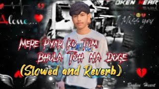 Mere ❤️ Pyar Ko ❤️Tum Bhula🥀 Toh Na Doge 🥀❤️Slowed and Reverb sad lofi lyrics songs [upl. by Swerdna]