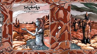 Hidria Spacefolk  SYMBIOSIS 2002 full album Finland Psychedelic Rock [upl. by Darsie]