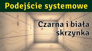 Podejście systemowe 3  Czarna i biała skrzynka [upl. by Marba]