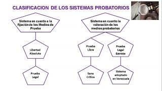 LOS SISTEMAS PROBATORIOS [upl. by Mauer]