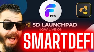 Feg Token News  SmartDefi Token Launchpad  Fegtrack [upl. by Nosle591]