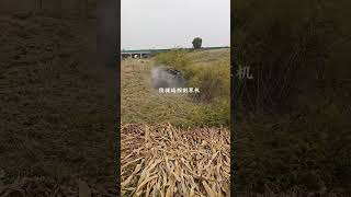 Remote control mower and pesticide sprayer Remote control sprayer Remote control mower Multipur [upl. by Maribelle675]