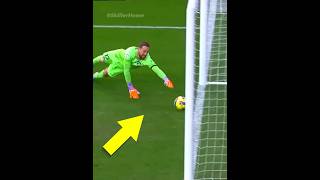 Impossible Goal Line Saves😳🔥 [upl. by Judson]