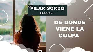 Pilar Sordo Podcast  De donde viene la culpa [upl. by Cort]