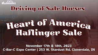 Driving of Sale Horses  Heart of America Haflinger Sale [upl. by Annerol998]