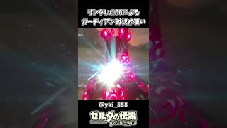 【ブレワイ】リンクLv100によるガーディアン討伐【ゼルダの伝説 ブレス オブ ザ ワイルド】 [upl. by Ialocin]