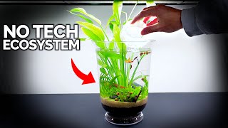 No Tech Ecosystem Vase For Anywhere In Your Home [upl. by Janelle]