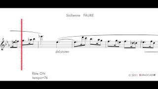 Sicilienne FAURE t76 flute ON [upl. by Eilraep503]