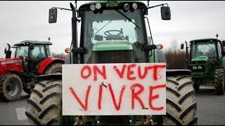 Colère des agriculteurs  Le renseignement alerte sur déventuelles dactions quotcoup de poingquot [upl. by Huntley609]