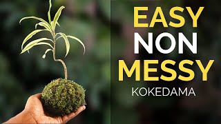 The easiest way to make a Kokedama [upl. by Lerud]