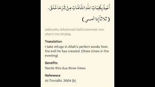 Powerful Evening Dua for Protection from Harm As Taught by the Prophet ﷺ [upl. by Nerin]