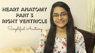 HEART  ANATOMY  PART 3  SIMPLIFIED [upl. by Redleh]