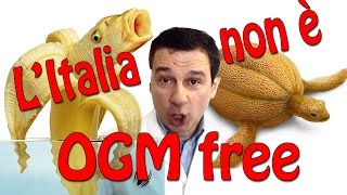 LItalia non è OGMfree Importiamo milioni di tonnellate di soia e mais OGM [upl. by Nett986]