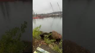 Duwamish River from Gateway Park North in Georgetown [upl. by Uaerraj]