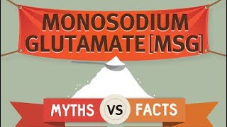 Monosodium Glutamate MSG All you need to know [upl. by Desma]