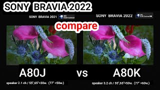 SONY A80K vs A80J compare [upl. by Ahsiekahs323]