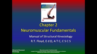 Structural Kinesiology Chapter 2 P5 [upl. by Yrelav62]