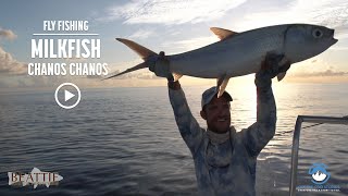 Full Film — Fly Fishing for Milkfish in the Seychelles in CHANOS CHANOS [upl. by Faith]