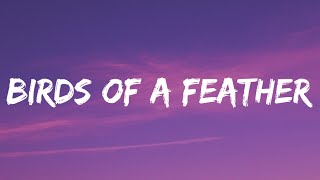 Billie Eilish  BIRDS OF A FEATHER Lyrics [upl. by Dranyar234]