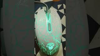 NEW MOUSE 🖱️ [upl. by Avah]