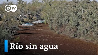 Se seca el segundo río más largo de Sudamérica [upl. by Ettenrahc166]