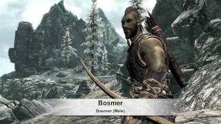 The Elder Scrolls V Skyrim  Rasy Skyrim The Races of Skyrim v2 [upl. by Neelehtak]