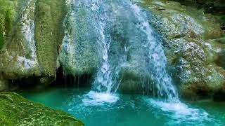 Relaxing birds amp water sounds nature river sounds for sleep meditation relaxation flowing water [upl. by Silvano]