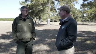 Orchard Produces Loblolly Pine Seeds [upl. by Holzman386]