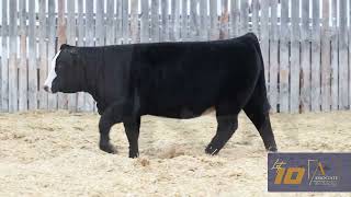 Lot 10  The Associate Invitational 2024 [upl. by Ihsar968]