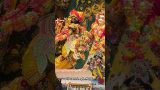 Iskcon noida janmashtami glimpse ❤🙏 janmashtami moments iskcontemple shorts krishnalove [upl. by Narda]