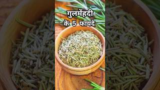 गुलमेंहदी Rosemary herb के 5 जबरदस्त फायदे rosemary ytshorts sehat [upl. by Mazur652]