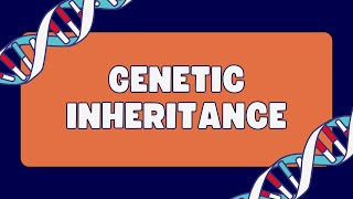 Pleiotropy Vs Epistasis Vs Polygenic inheritance [upl. by Irolav]