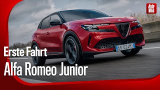 Alfa Romeo Junior Veloce  Erste Fahrt mit Rolf Klein [upl. by Ertha]