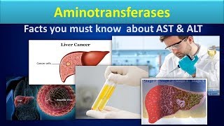 AminotransferaseClear overview about ASTALT [upl. by Aitercul]