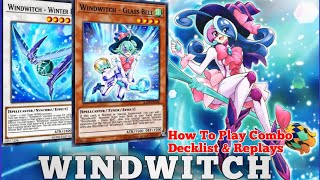 WINDWITCH NEW BOX SYNCHRO DECK How to play Combo guide and Replays IN YUGIOH DUEL LINKS [upl. by Maurise]