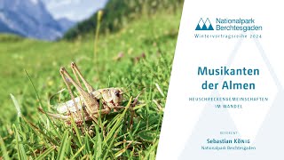 Musikanten der Almen – Heuschreckengemeinschaften im Wandel [upl. by Sager]