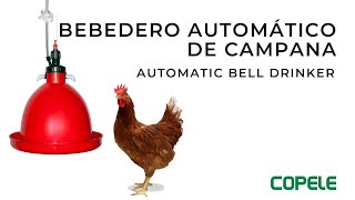 Bebedero Automático de Campana para Aves  COPELE [upl. by Shoshanna]