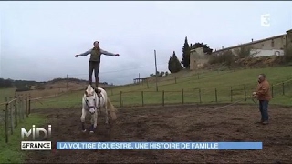 La voltige equestre une histoire de famille [upl. by Verner]