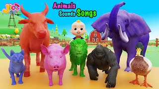 Animals Sounds Song 2 🐷🐷 Oink Oink 🐄🐄 Moo Moo  Jicoco Nursery Rhymes amp Kids Songs [upl. by Rosie]